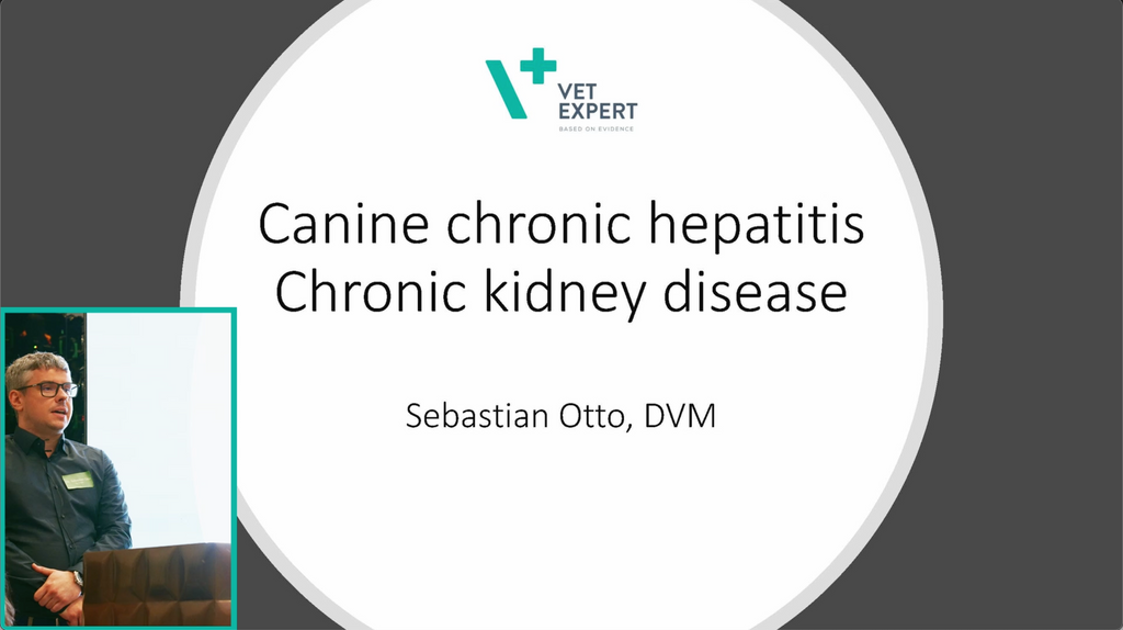 Canine Chronic Hepatitis Chronic Kidney Disease