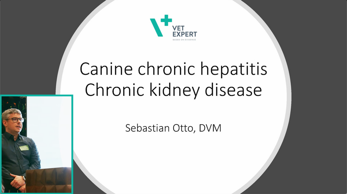 Canine Chronic Hepatitis Chronic Kidney Disease – PetScience
