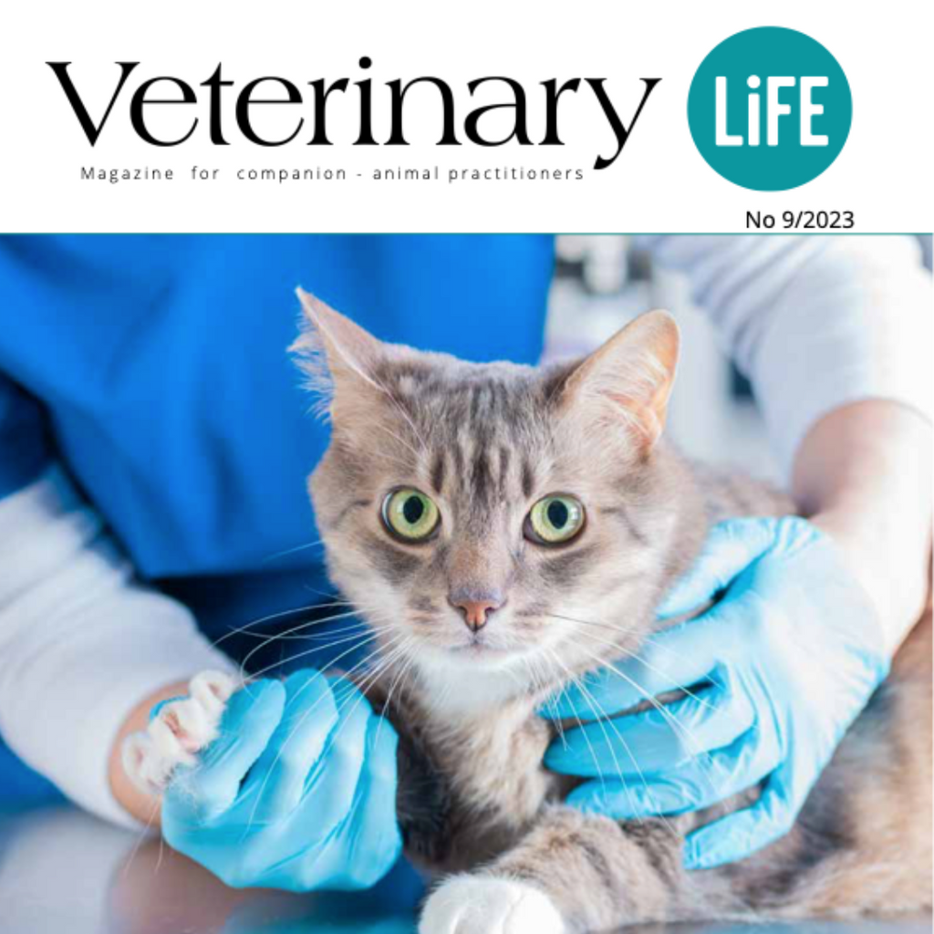 CAT - selected diseases and their treatment