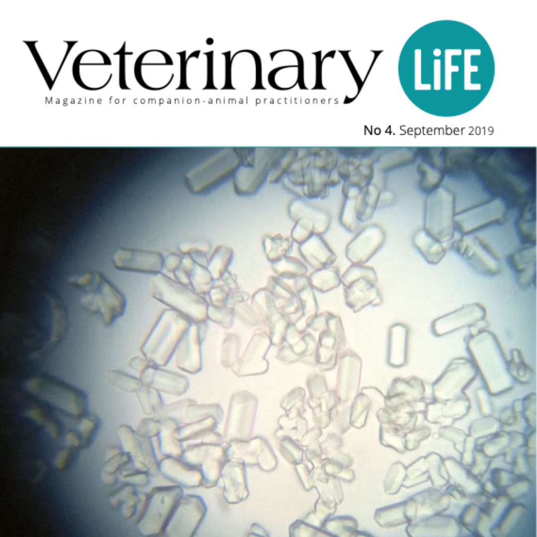 Urology – PetScience