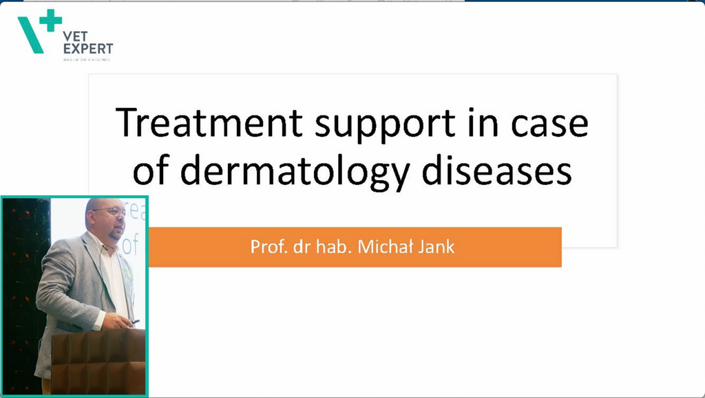 Treatment Support in Case of Dermatology Diseases