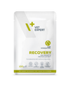 Recovery Cat 100g