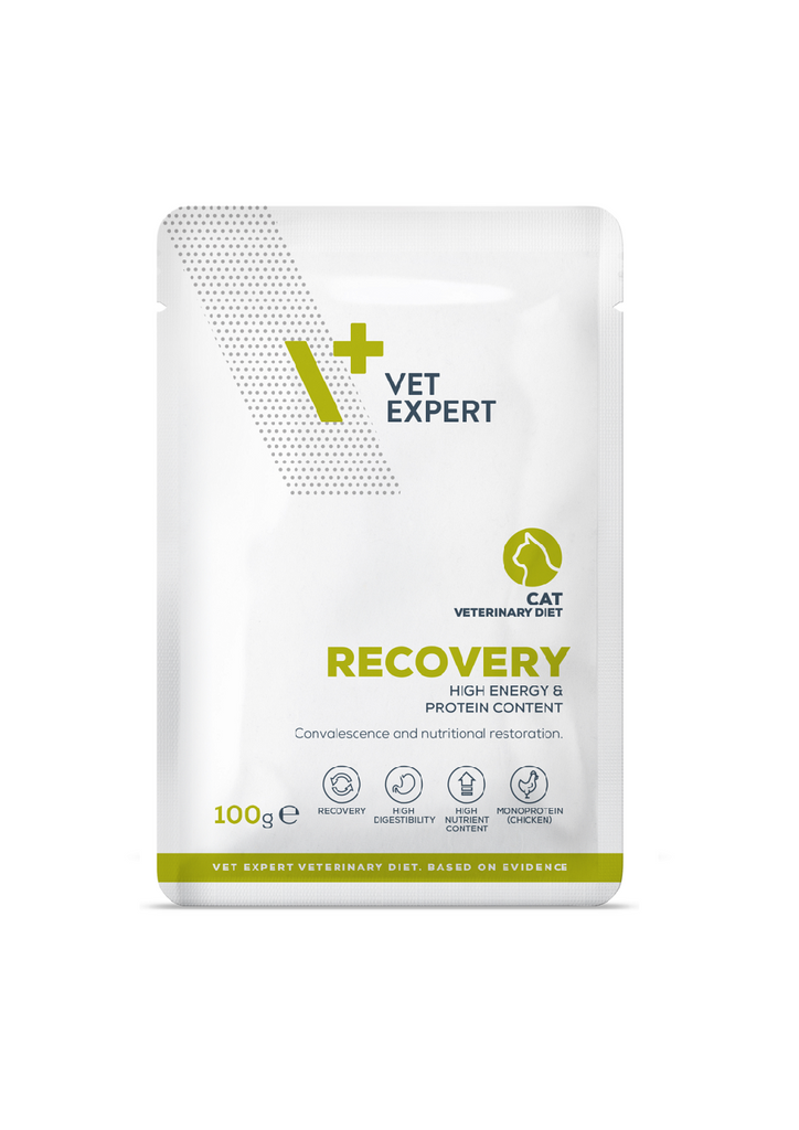 Vet Expert Recovery Cat Wet 100g - 3pcs - wet veterinary food for cats