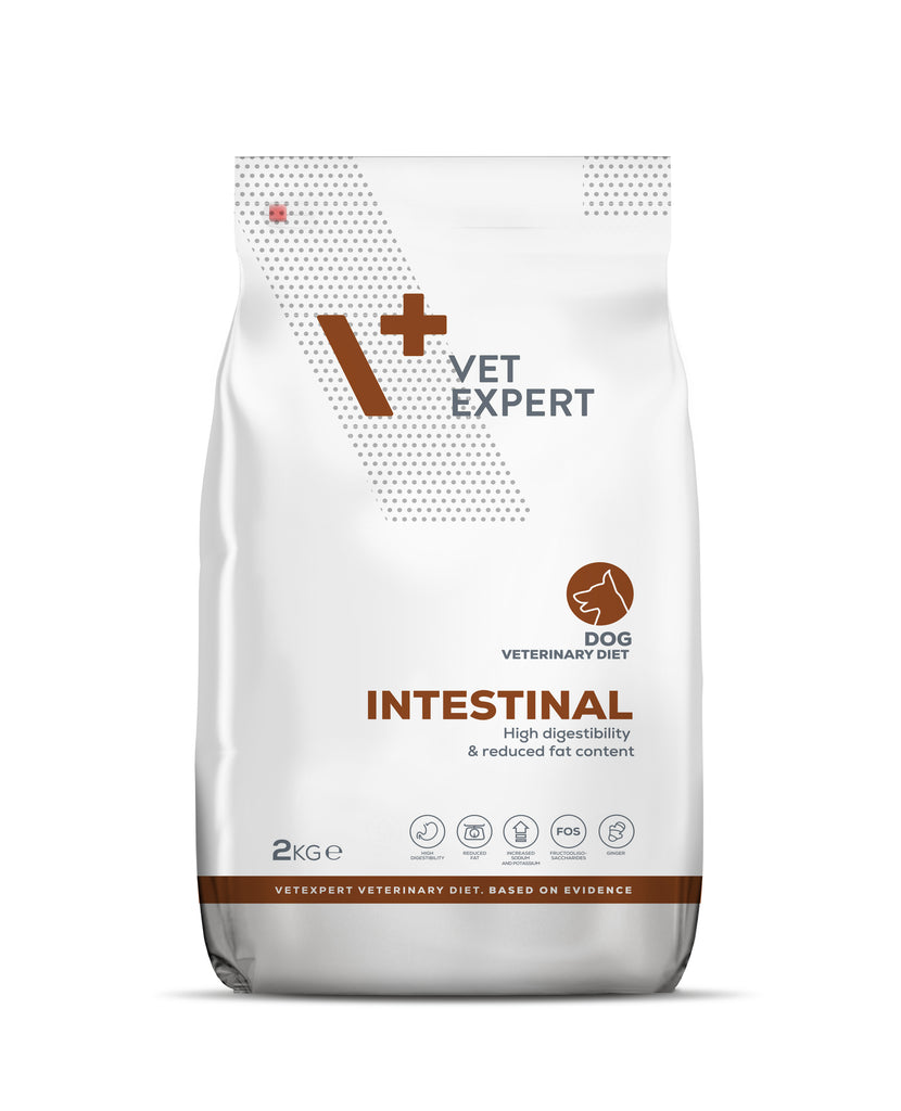 Pro Vet Intestinal Vet Expert Intestinal Dog 2kg - dry veterinary food for dogs – PetScience